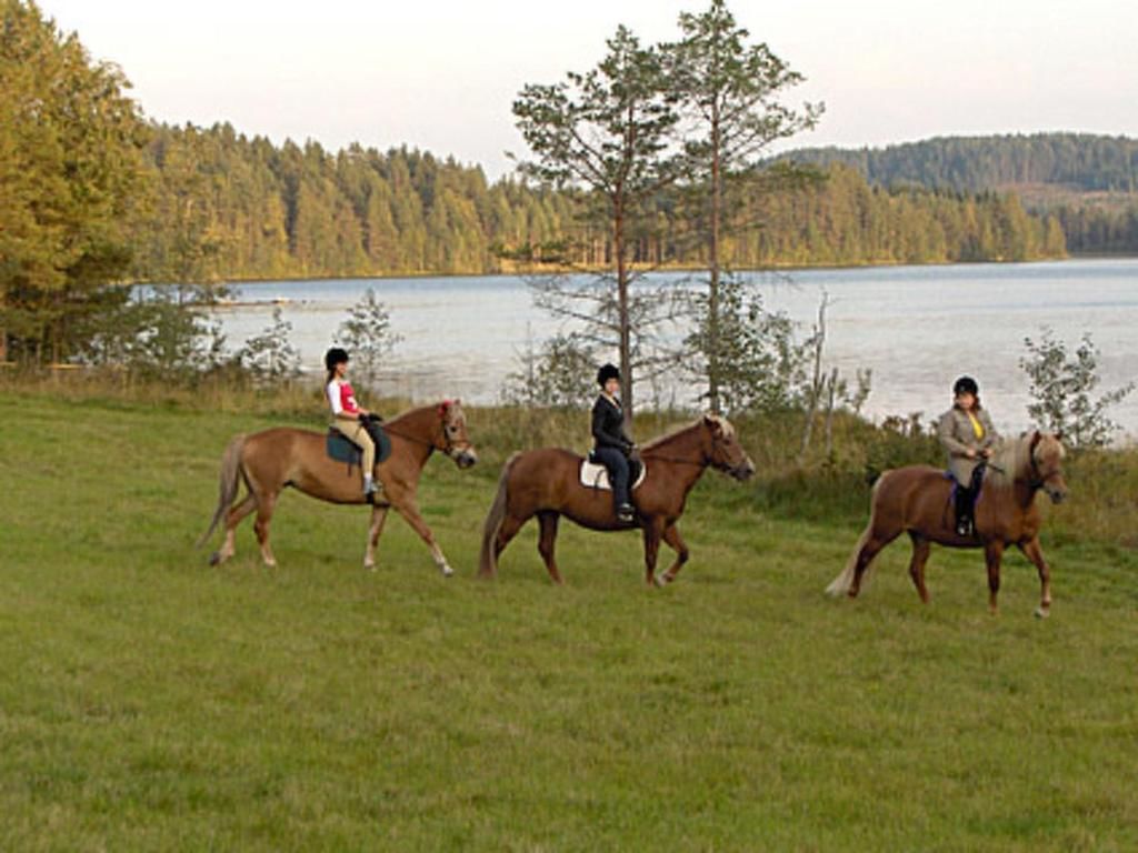 Дома для отпуска Holiday Home Mäntylä Juhanala